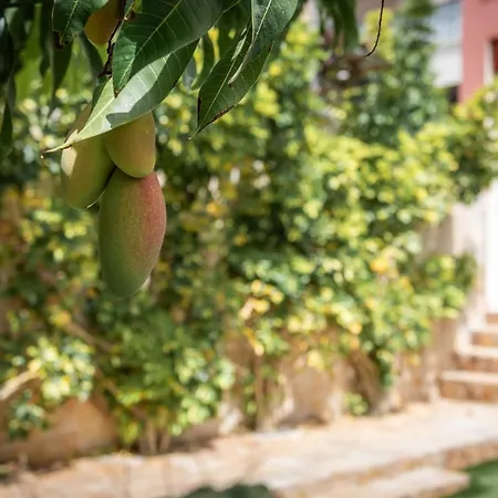 Comfortable 4-bedroom With Private Gardens * أذيخي